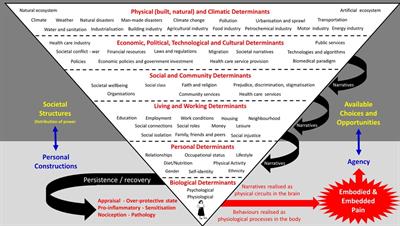 A healthy settings approach to addressing painogenic environments: New perspectives from health promotion
